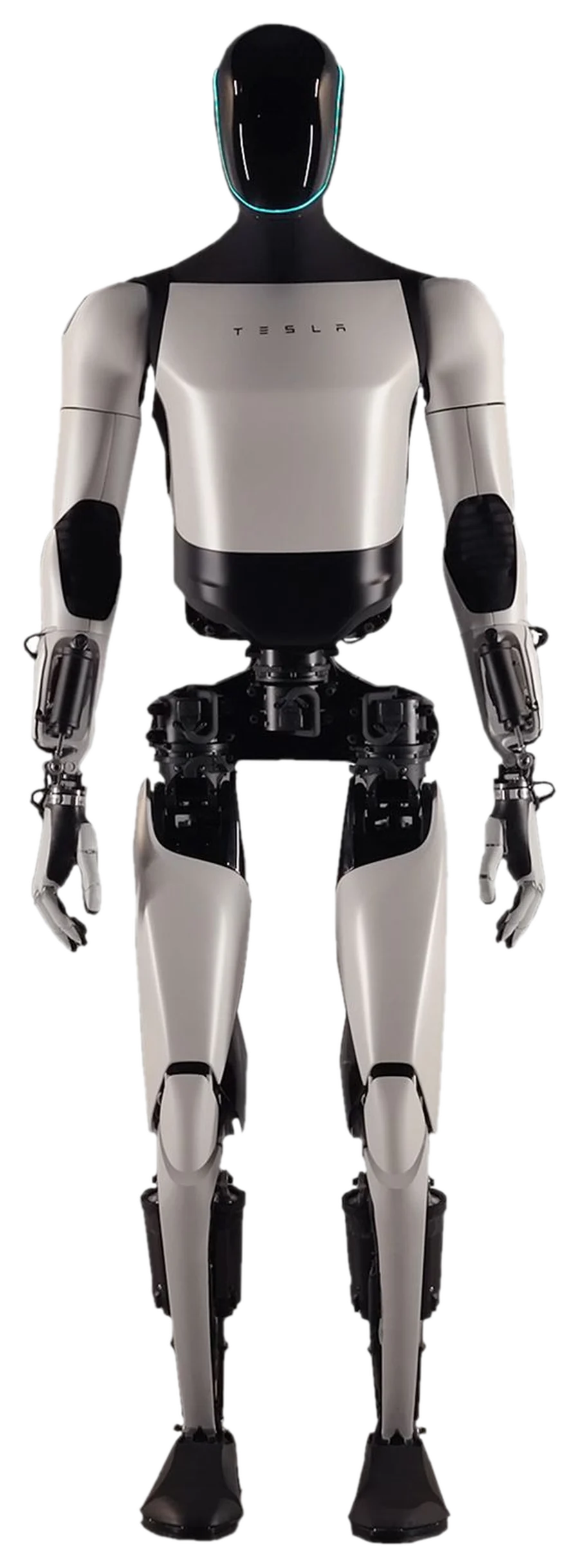 Humanoidní robot Tesla Optimus ve stoje, čelní pohled